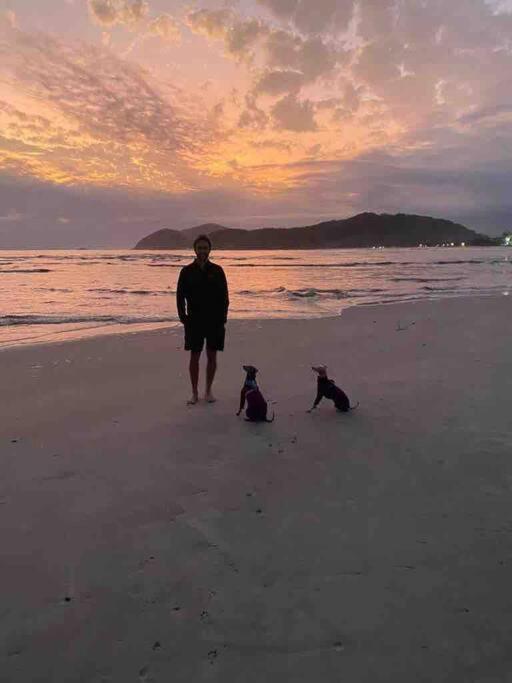 Novo-Refugio Do Arquiteto - Casa Coqueiro, 4 Minutos Caminhando Ate A Praia Sao Sebastiao  Exterior foto